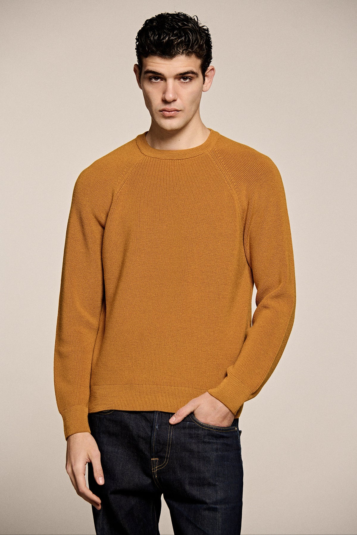 Merino Wool Ribbed Crew Neck
